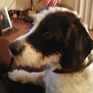 Meet your Posher, Melody